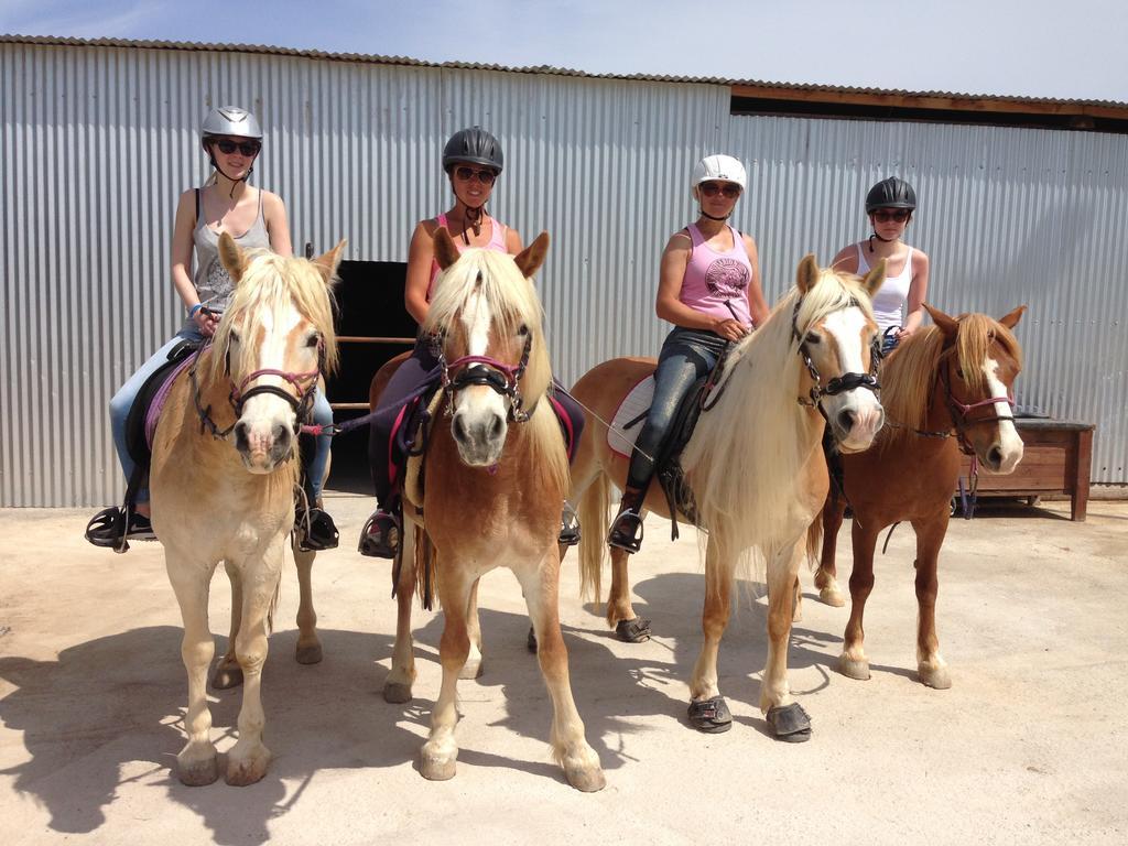 Arion Stables & Apartments Hersonissos  Luaran gambar